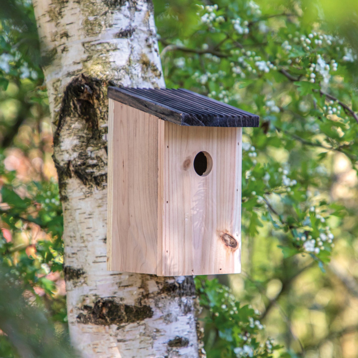 Vogelhuisje Rustiek